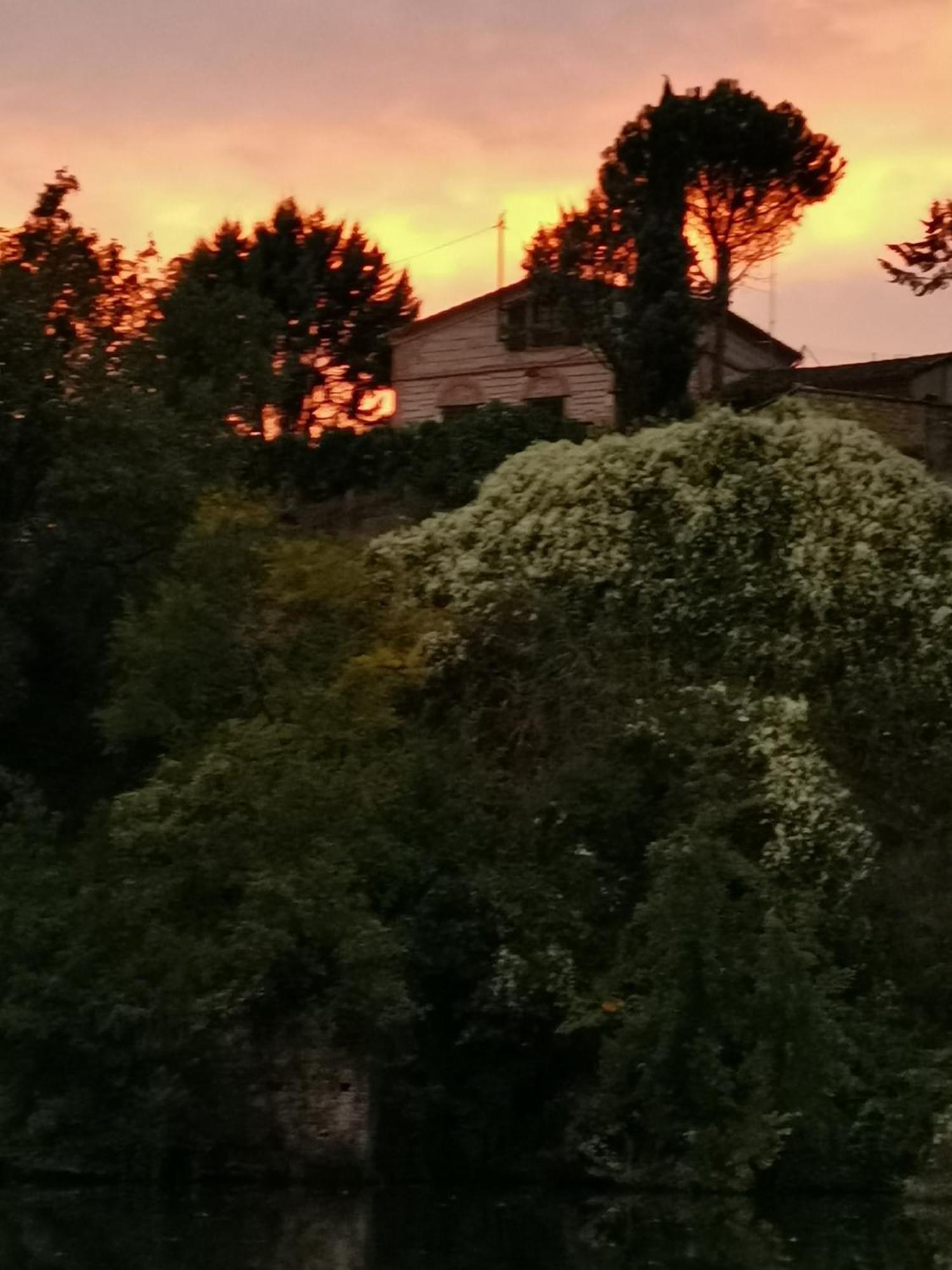 La Planque De L'Eclusier Villa Castelnau-de-Lévis Buitenkant foto