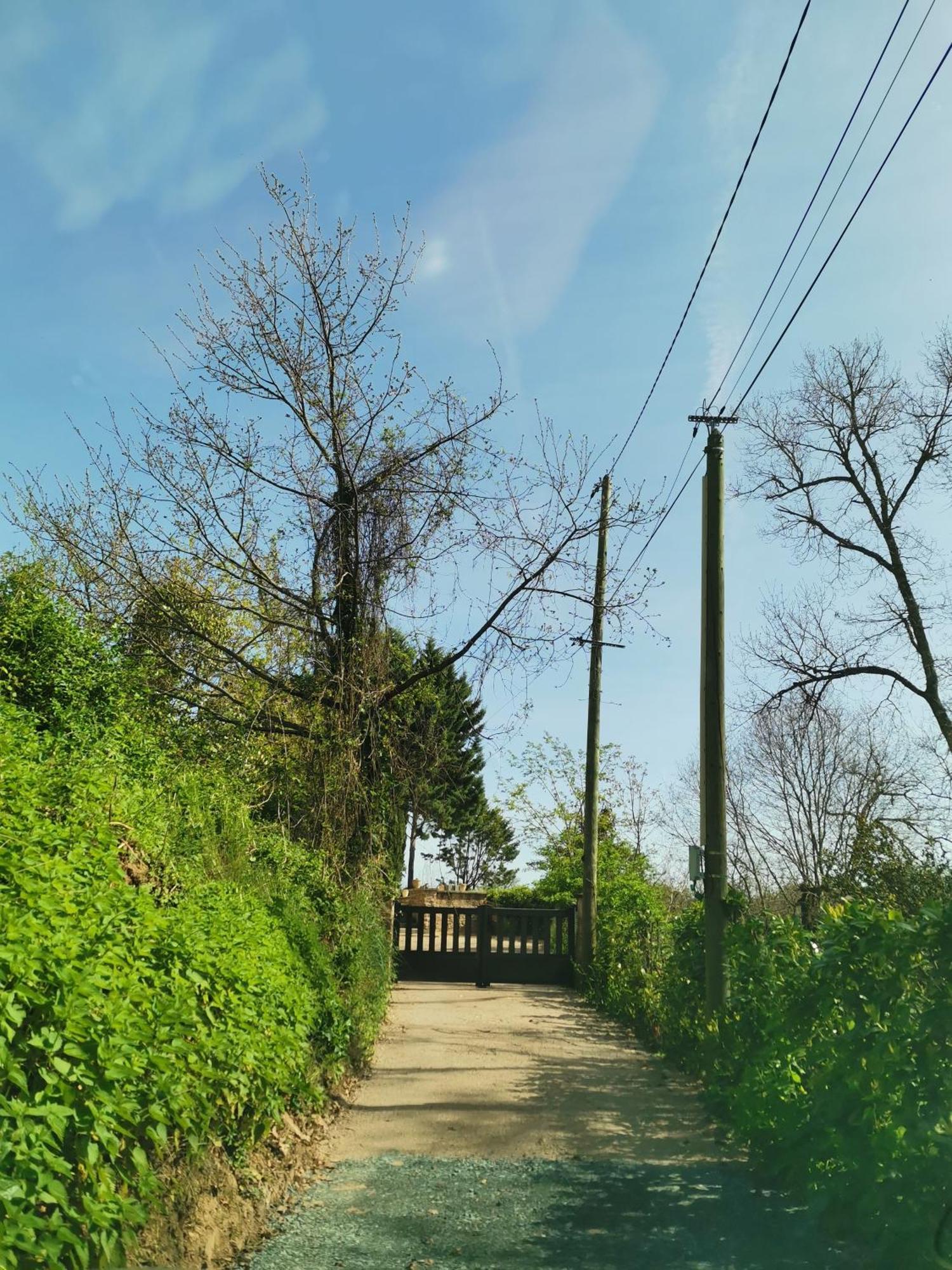 La Planque De L'Eclusier Villa Castelnau-de-Lévis Buitenkant foto